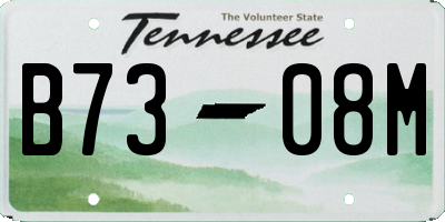 TN license plate B7308M