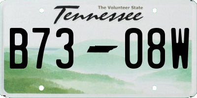 TN license plate B7308W