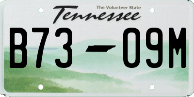 TN license plate B7309M