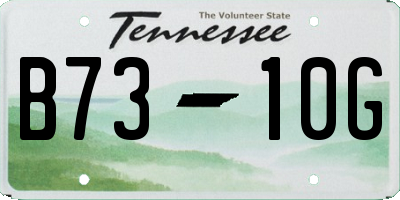 TN license plate B7310G