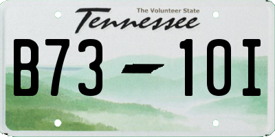 TN license plate B7310I