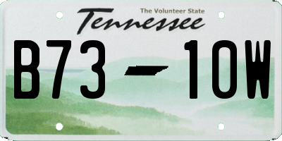TN license plate B7310W
