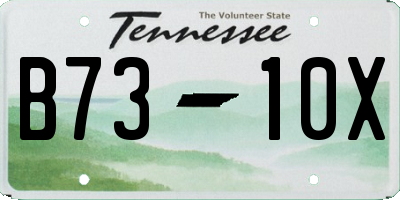 TN license plate B7310X