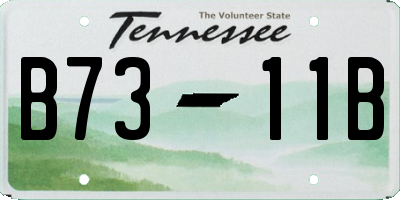 TN license plate B7311B