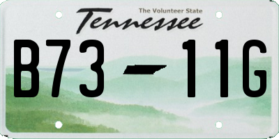 TN license plate B7311G