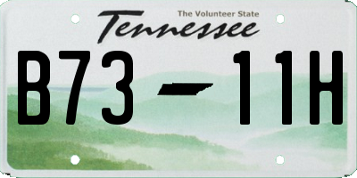 TN license plate B7311H
