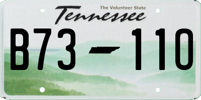 TN license plate B7311O