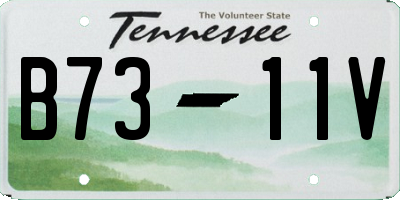 TN license plate B7311V