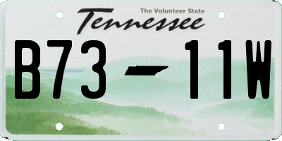 TN license plate B7311W