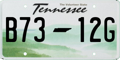 TN license plate B7312G