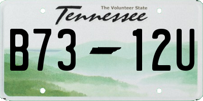TN license plate B7312U