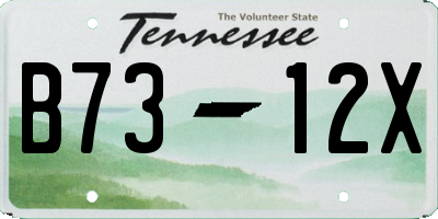 TN license plate B7312X