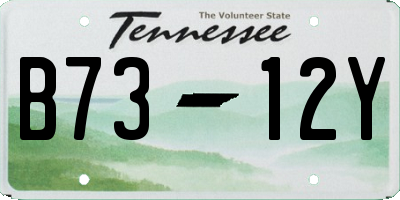 TN license plate B7312Y