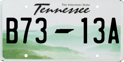 TN license plate B7313A