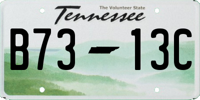 TN license plate B7313C