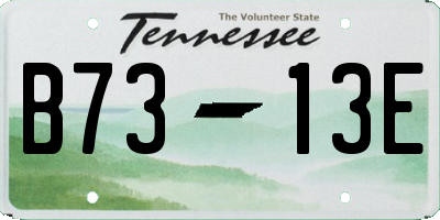 TN license plate B7313E