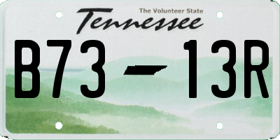 TN license plate B7313R