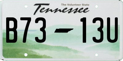 TN license plate B7313U