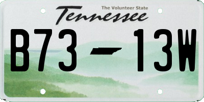 TN license plate B7313W