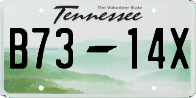 TN license plate B7314X