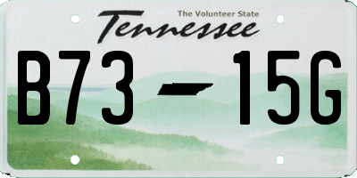 TN license plate B7315G