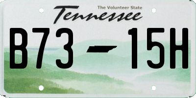 TN license plate B7315H