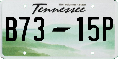 TN license plate B7315P