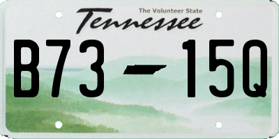 TN license plate B7315Q