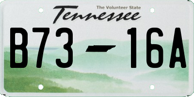 TN license plate B7316A