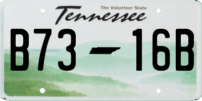 TN license plate B7316B