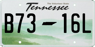 TN license plate B7316L