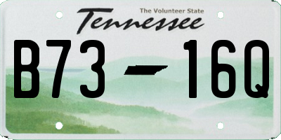TN license plate B7316Q