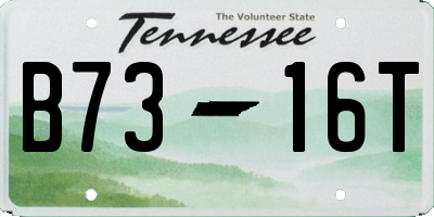 TN license plate B7316T