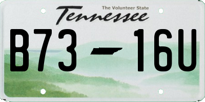 TN license plate B7316U