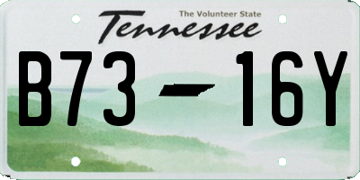 TN license plate B7316Y