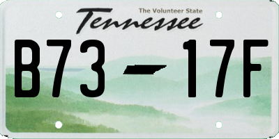 TN license plate B7317F