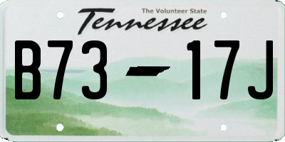 TN license plate B7317J