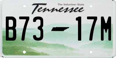 TN license plate B7317M