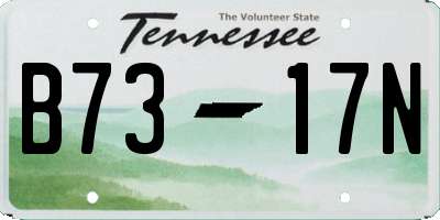 TN license plate B7317N