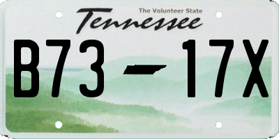 TN license plate B7317X