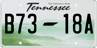 TN license plate B7318A