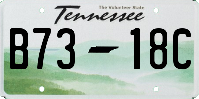 TN license plate B7318C