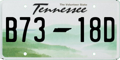 TN license plate B7318D