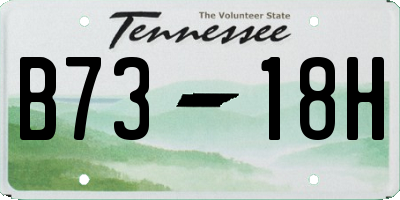 TN license plate B7318H