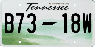 TN license plate B7318W