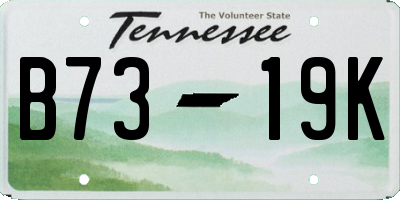 TN license plate B7319K