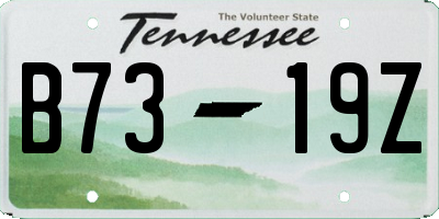 TN license plate B7319Z