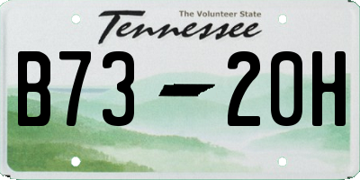TN license plate B7320H