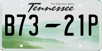 TN license plate B7321P