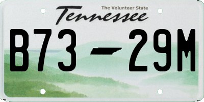 TN license plate B7329M